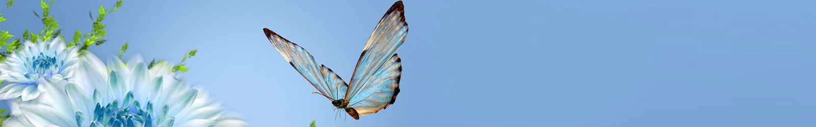 大連防腐蜜桃AV一区二区精品无码 大連防腐蜜桃AV一区二区精品无码